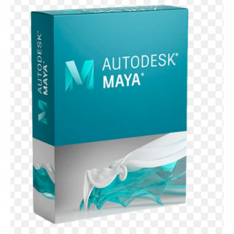 Digital Products & Software